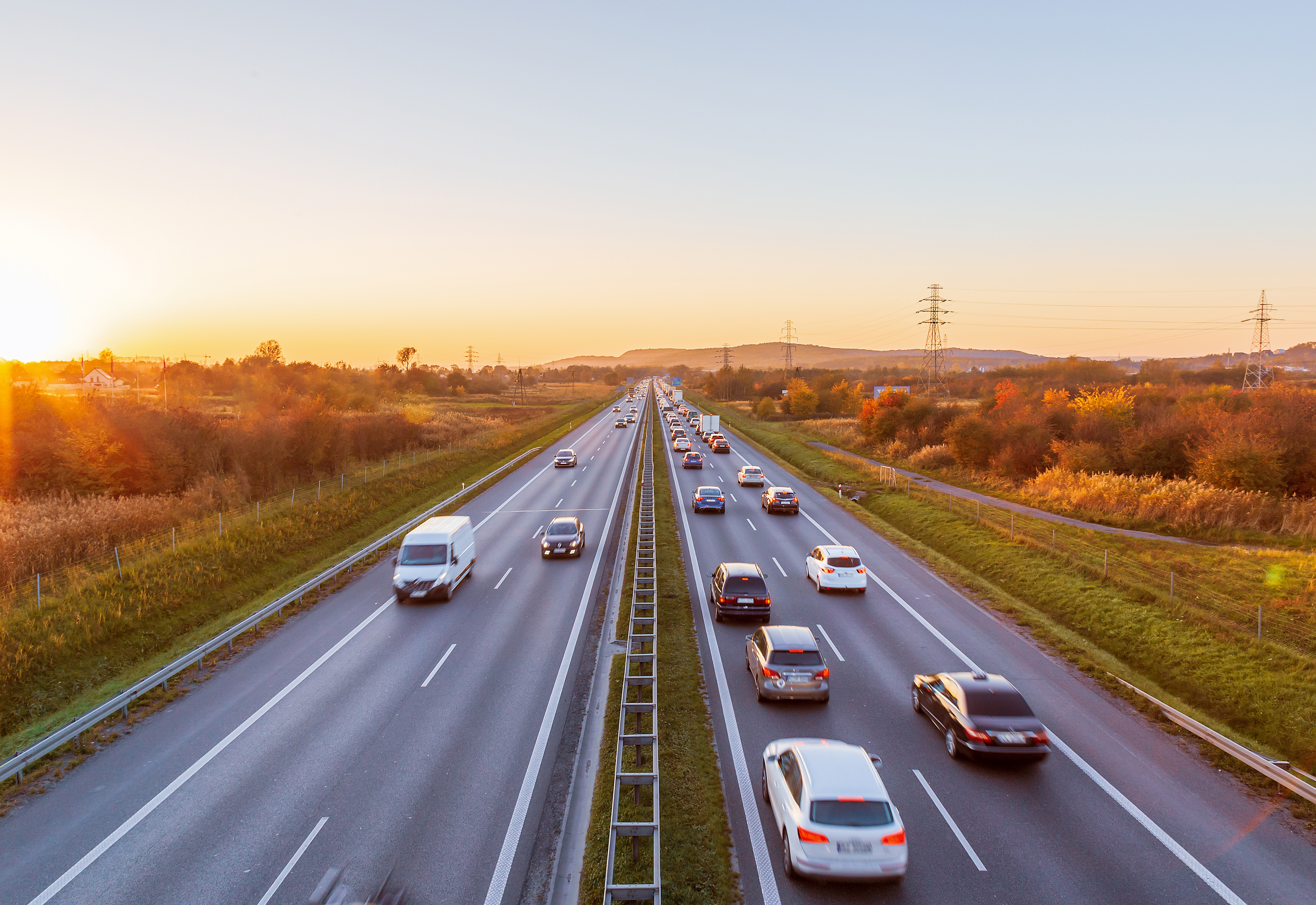 renew or replace your license