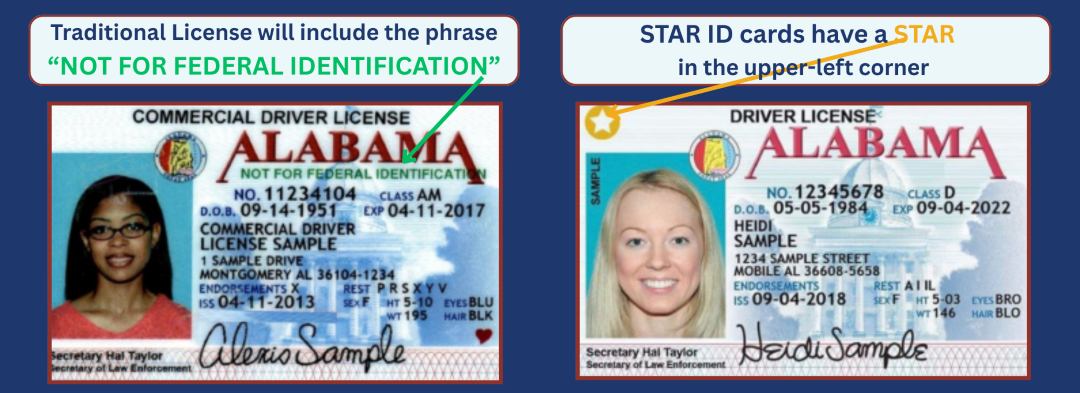 traditional license have not for federal identification at the top and star id have a star in upper left corner