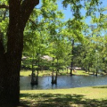 Photo of the catch and release pond at Live Oak landing