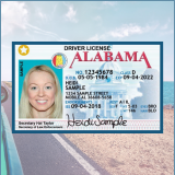 Driver License Transfer