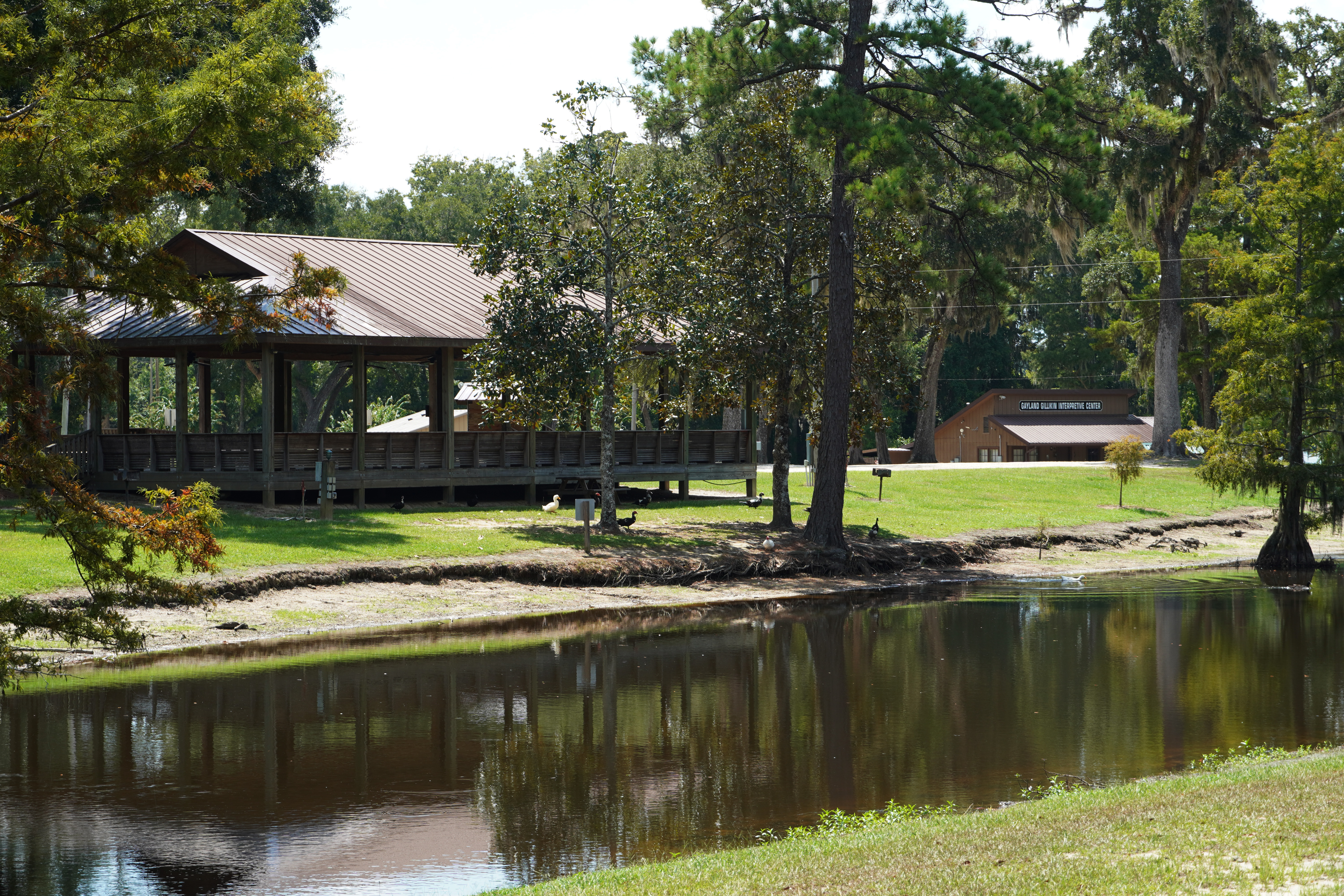 pond and pavilion at live oak landing